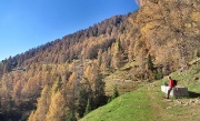 MONTE COLLE - PIZZO BADILE - FOTOGALLERY